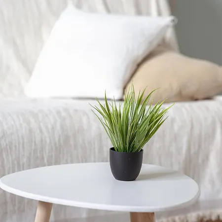 Le Monet Joli Vue Cathedrale ! Daire