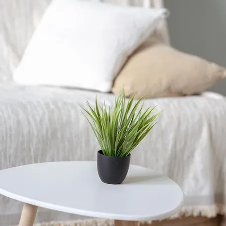 Le Monet Joli Vue Cathedrale ! Apartamento *